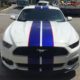 Racing Stripes mustang camero decals vinyl