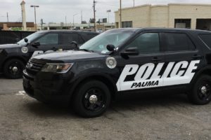 Police Car Decals