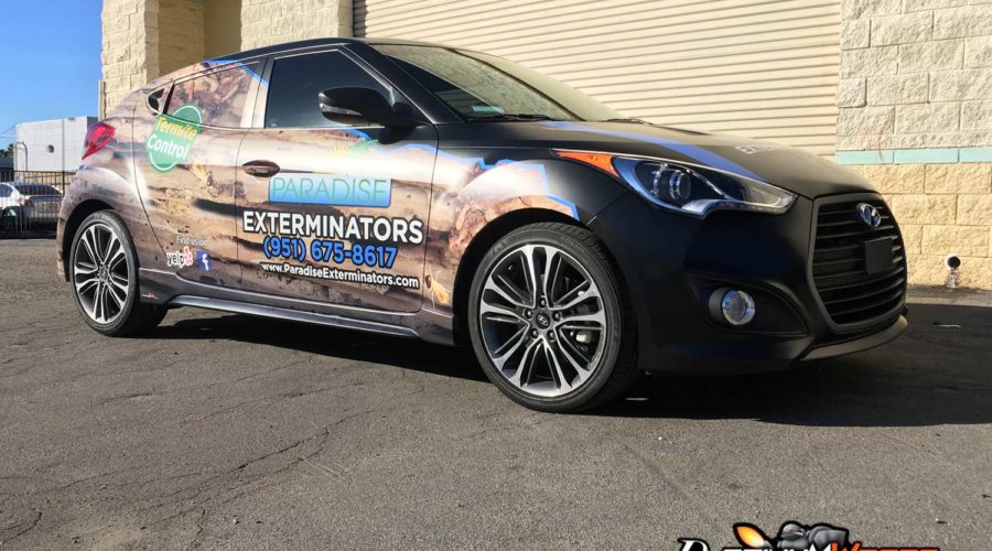 Vehicle Wraps car graphics