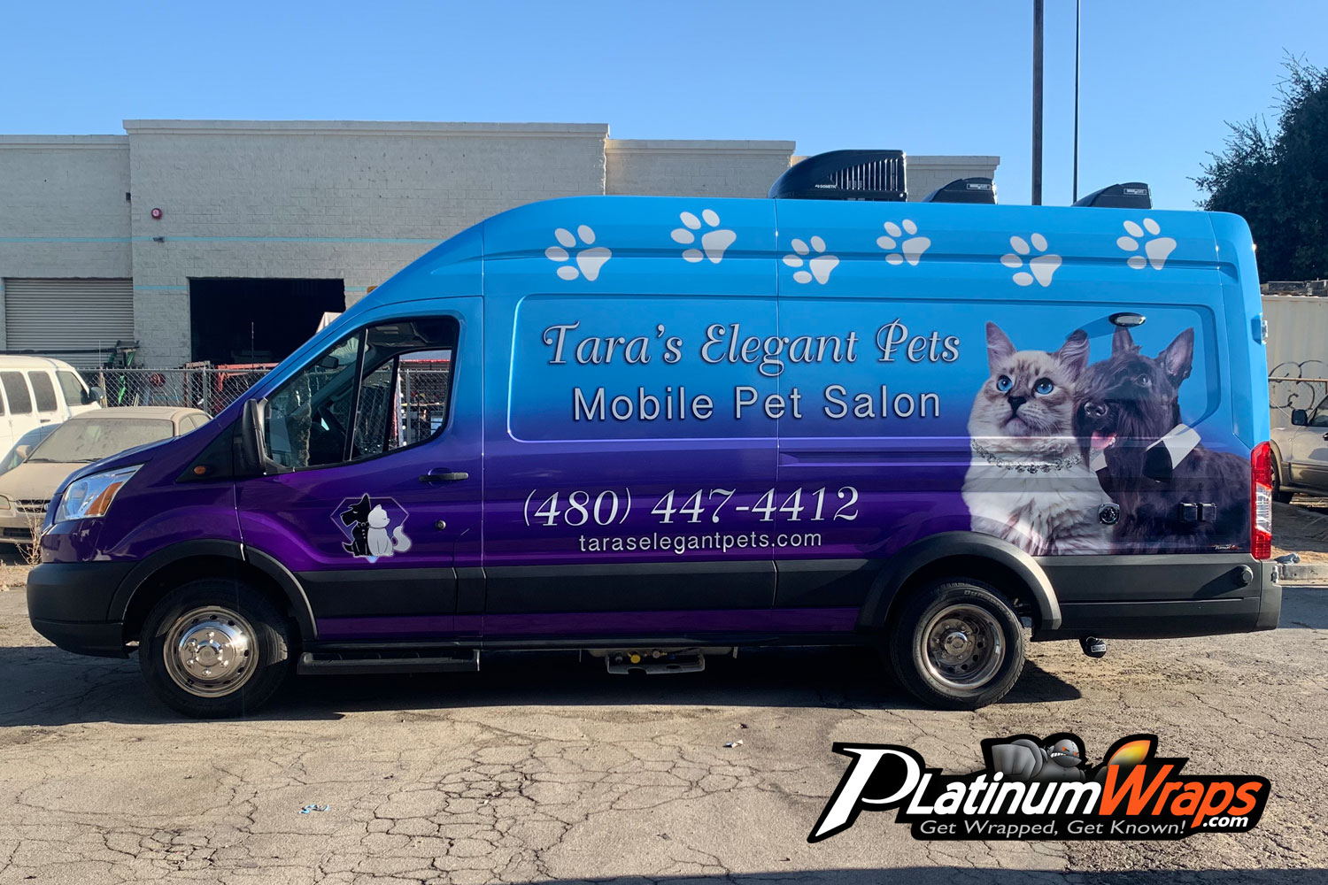 Blue online pet salon